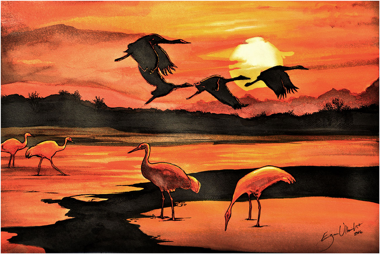 Cranes flying at sunset