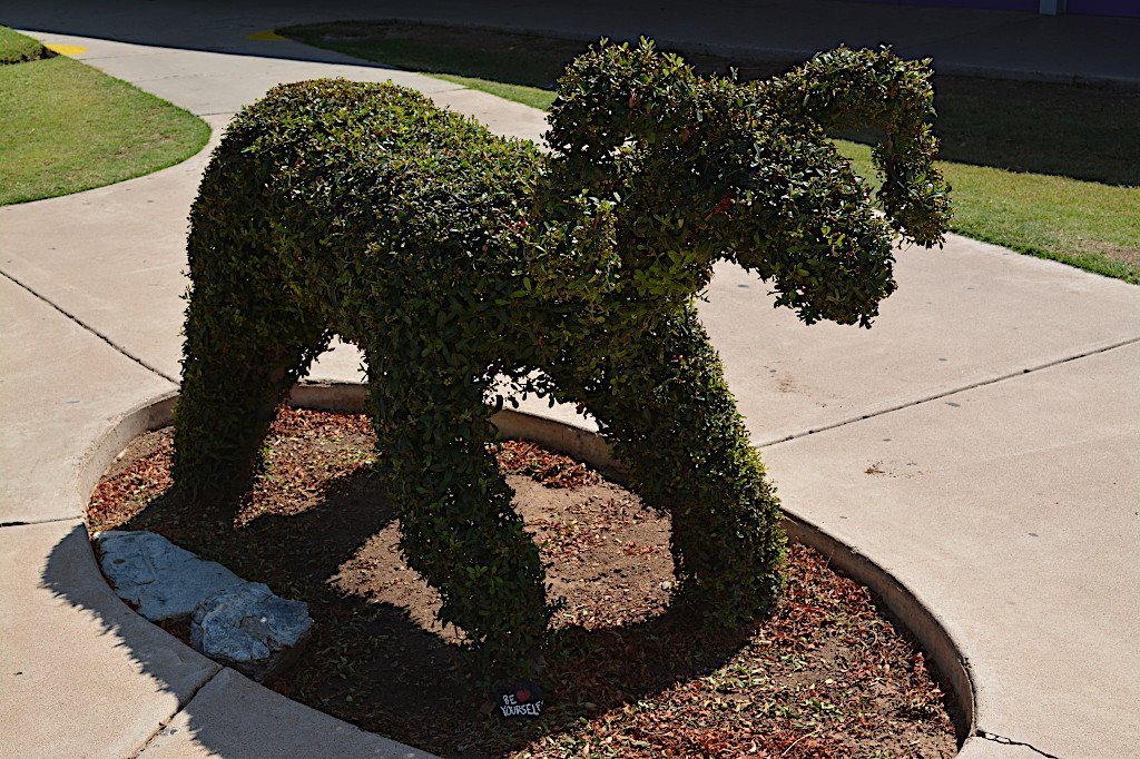 ram shaped bush closeup