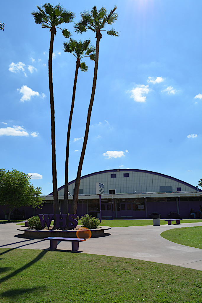 Practice Gym from outside by palm tree